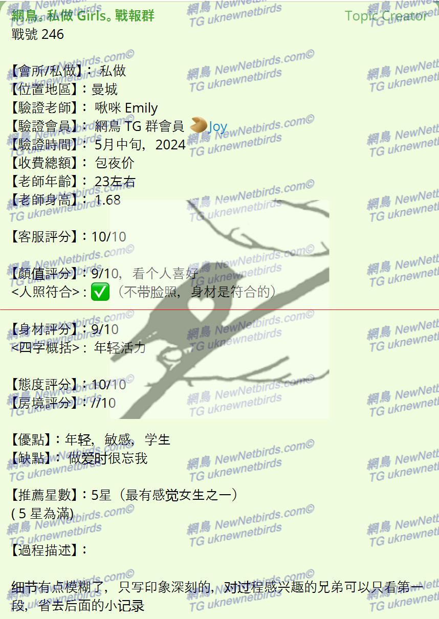 戰號 246 2.png